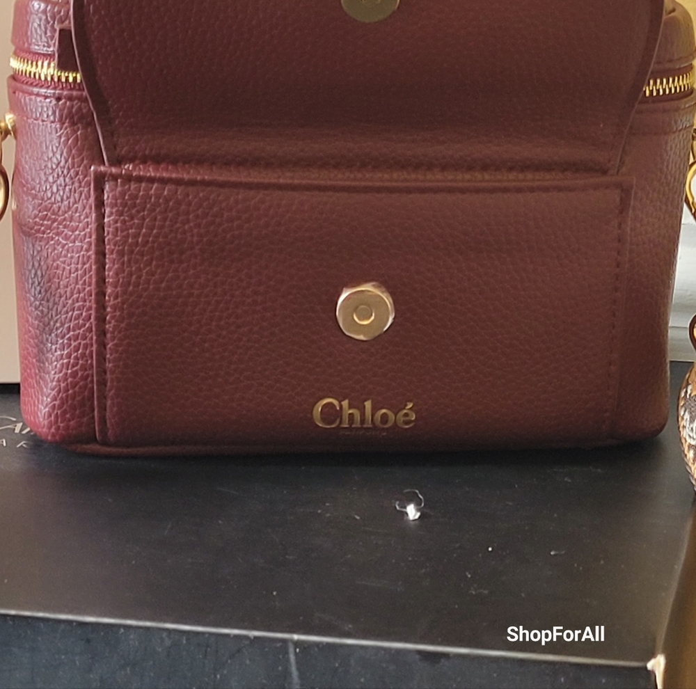 Chloe Burgundy Crossbody Bag - Picture 9 of 15